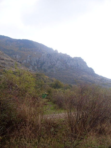 Brunette chick Viktoria poses totally natural indoors and outdoors